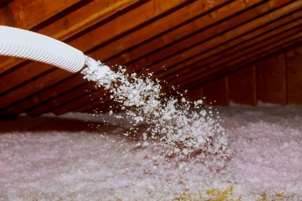 Types of Insulation We Offer in Patton Village, TX