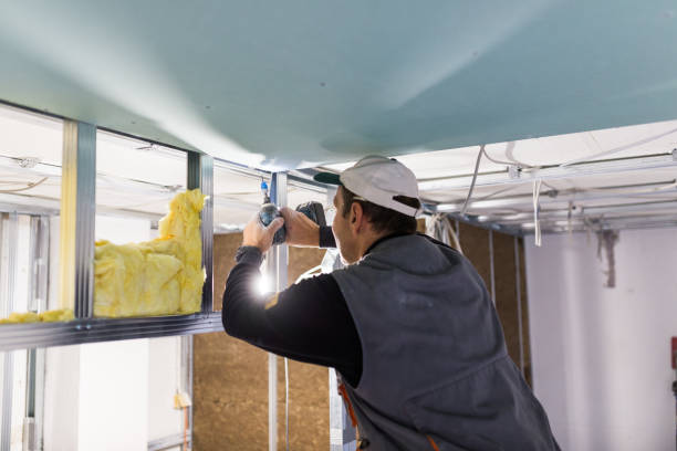 Best Specialized Insulation Services in Patton Village, TX