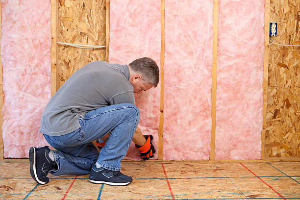 Best Residential Insulation in Patton Village, TX